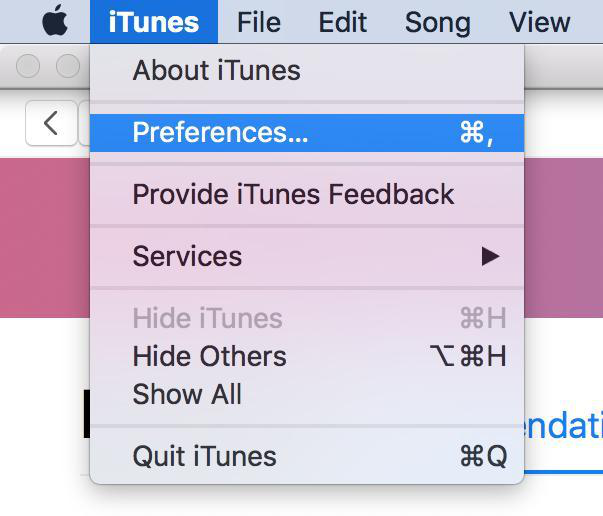Откройте панель настроек в iTunes на своем компьютере.