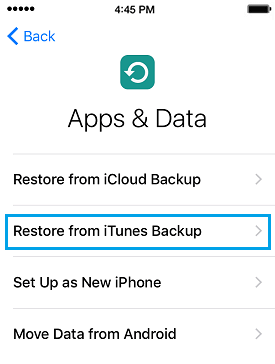 Восстановление экрана приложений и данных из iTunes Backup Option