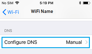 Параметр настройки параметров DNS на iPhone