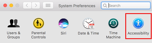 Параметр настроек специальных возможностей на Mac