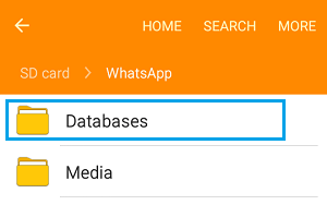 Папка баз данных WhatsApp на телефоне Android