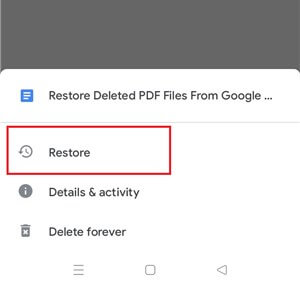 Восстановить удаленные PDF-файлы из корзины