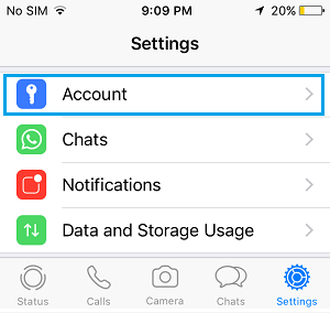Вкладка «Учетная запись» на экране настроек WhatsApp на iPhone