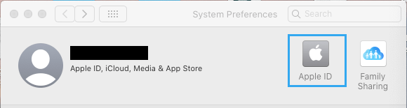 Вкладка Apple ID на экране системных настроек Mac