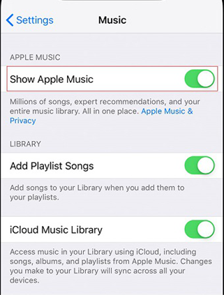   Как исправить проблему с загрузкой песен Apple Music с помощью Show Apple Music