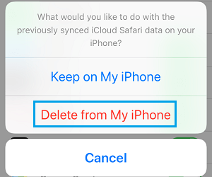 Удалить данные Safari из всплывающего окна iPhone