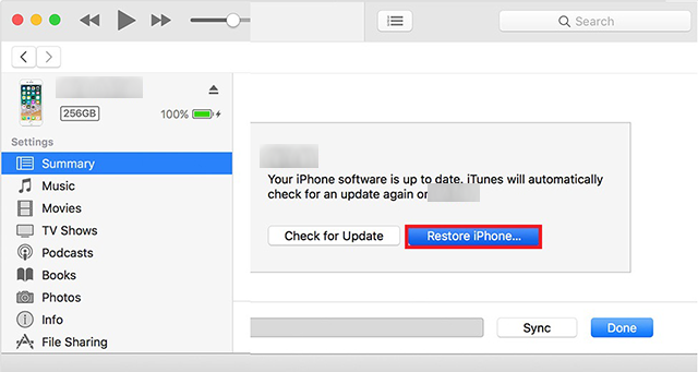 Fix Ghost Touch by Restoring the iPhone with iTunes