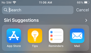 Предложение Siri в поиске Spotlight на iPhone