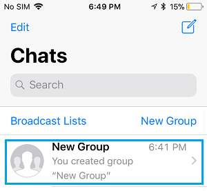 Откройте групповой чат в WhatsApp на iPhone