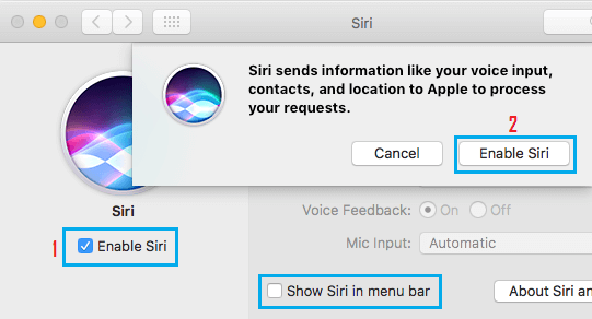 Включить Siri на Mac