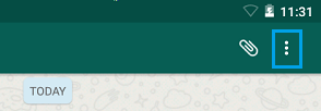 Значок WhatsApp 3 Dot Menu на телефоне Android