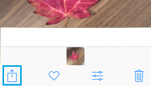 Значок «Поделиться» в приложении «Фотографии» на iPhone