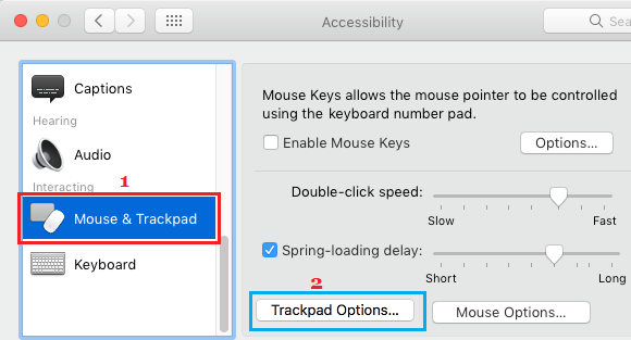 Вкладка «Параметры трекпада» на экране специальных возможностей на MacBook