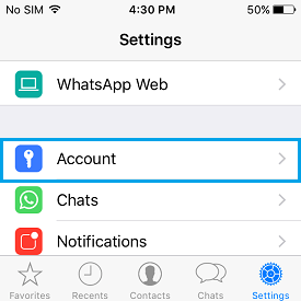 Вариант учетной записи WhatsApp на iPhone