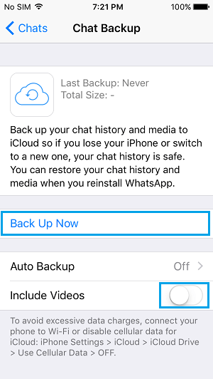 Резервное копирование сообщений WhatsApp вручную на iPhone в iCloud Drive