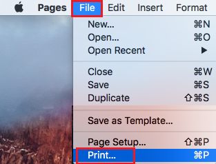 Параметр печати файла в меню Mac