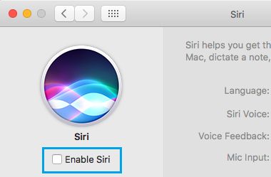 Отключить Siri на Mac