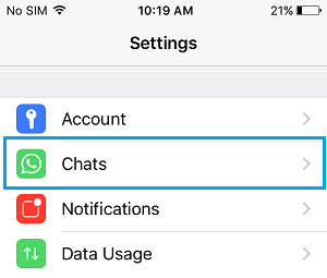 Вариант чатов на экране настроек WhatsApp на iPhone