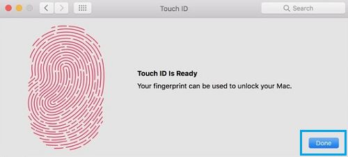 Сохранить отпечаток пальца на MacBook Pro