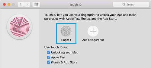 Удалить отпечаток пальца на MacBook Pro