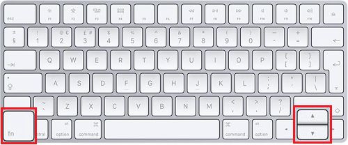 Клавиша FN, клавиши со стрелками вверх и вниз на Mac