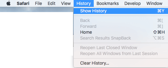 Показать параметр истории просмотров Safari на Mac
