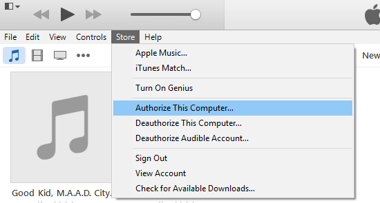Вариант авторизации этого компьютера в iTunes