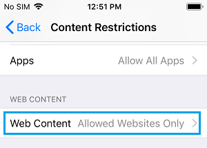 Возможность ограничения веб-содержимого на iPhone