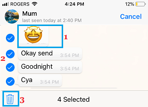 Удалить несколько сообщений WhatsApp на iPhone