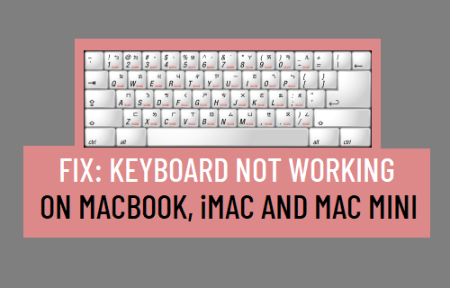 Клавиатура не работает на Mac