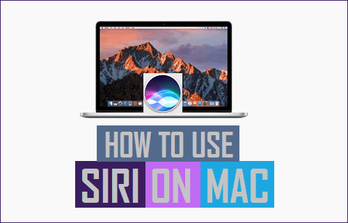 Используйте Siri на Mac