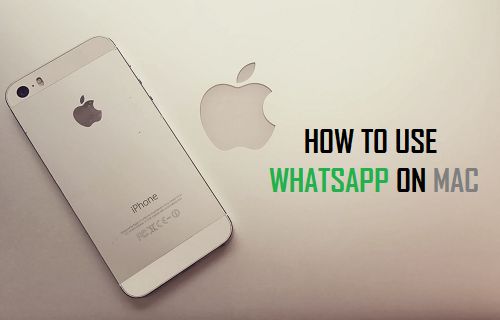 Используйте WhatsApp на Mac
