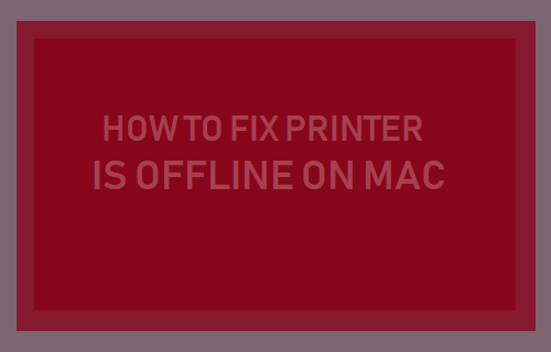 Принтер отключен от сети Ошибка на Mac