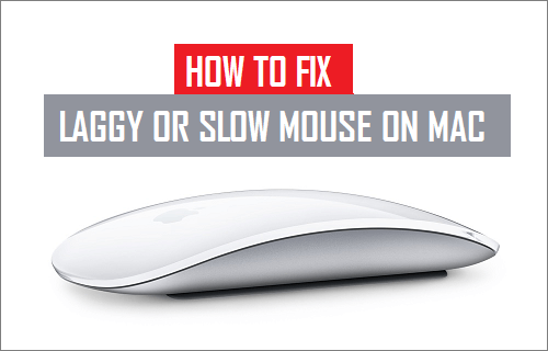 Исправить медленную или медленную мышь на Mac
