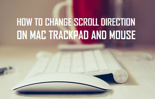 Изменение направления прокрутки на трекпаде и мыши Mac