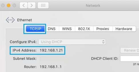 IP-адрес на экране TCP / IP на Mac