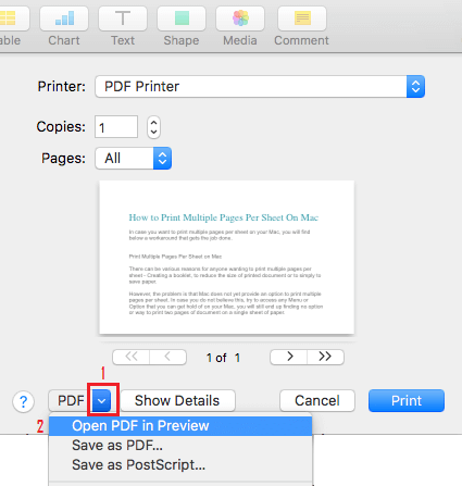 Открыть документ в режиме предварительного просмотра PDF на Mac