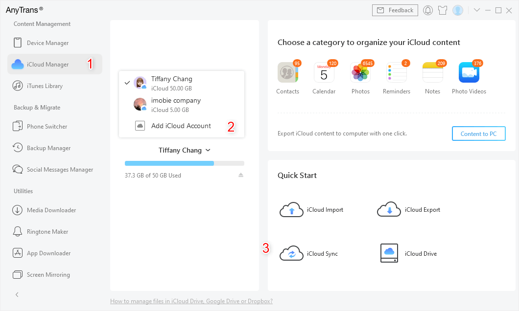 Войдите в две учетные записи iCloud и перейдите к iCloud Sync.