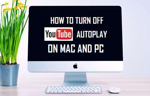 Отключите автовоспроизведение YouTube на Mac и ПК