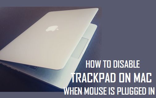 Отключить трекпад на Mac, когда мышь подключена к розетке