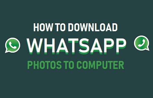 Скачать фото из WhatsApp на компьютер
