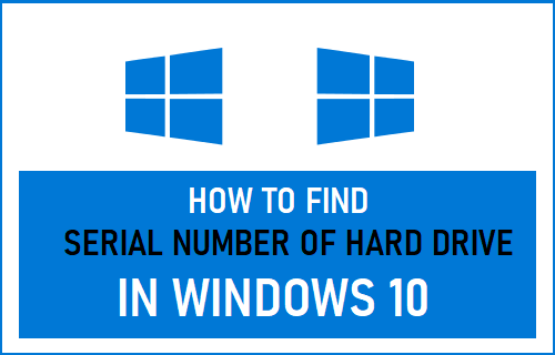 Найдите серийный номер жесткого диска в Windows 10