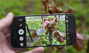 Восстановить удаленные фотографии с Samsung Galaxy S7