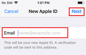 Введите новый адрес электронной почты Apple ID на iPhone