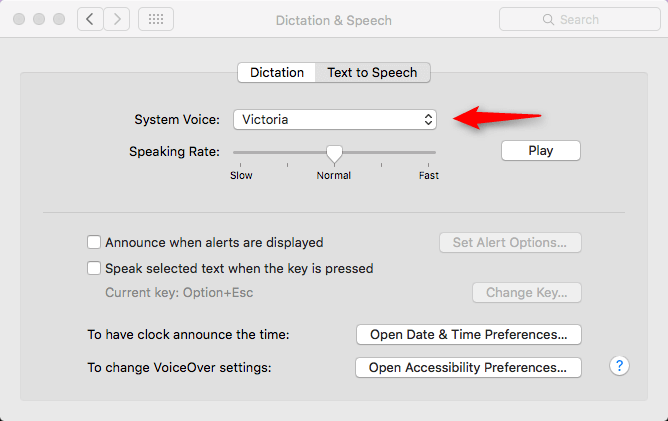 Как заставить Siri говорить то, что вы печатаете на Mac - шаг 2