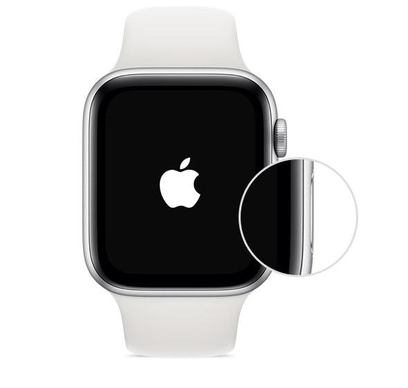 Принудительно перезагрузите Apple Watch