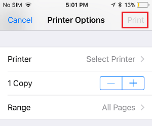 Кнопка «Печать» на экране параметров принтера на iPhone