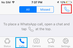 Опция WhatsApp Calls на iPhone 