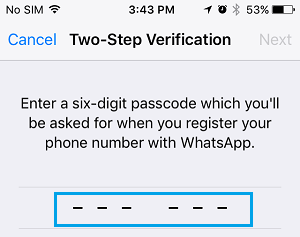 Введите шестизначный пароль для двухэтапной проверки для WhatsApp на iPhone