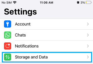 Вариант настроек хранилища и данных WhatsApp на iPhone